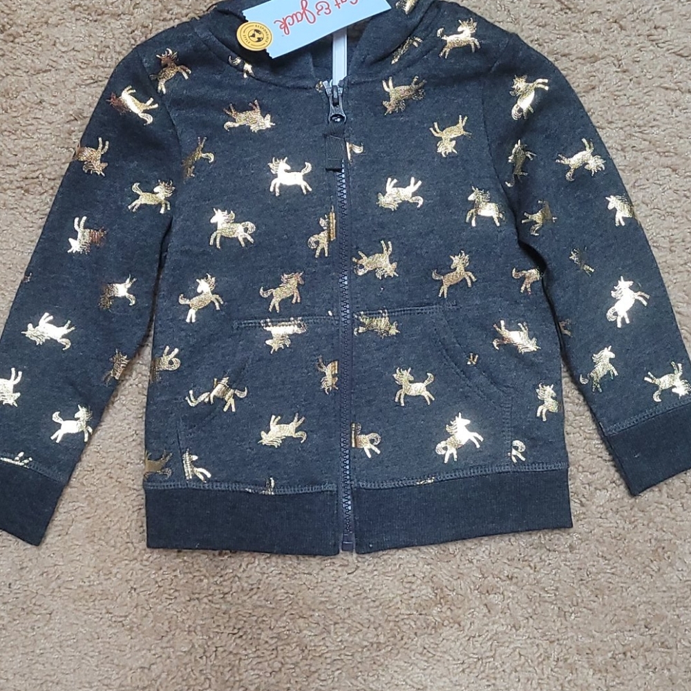 Hoodie toddler size 2T
